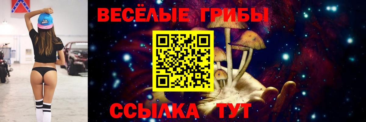 Кудымкар  цена   Вход с VPN  Галлюциногенные грибы GOLDEN TEACHER 